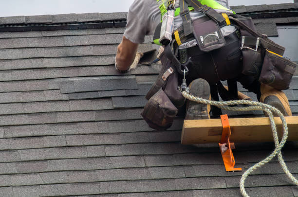 Best Storm Damage Roof Repair  in Evergreen Park, IL