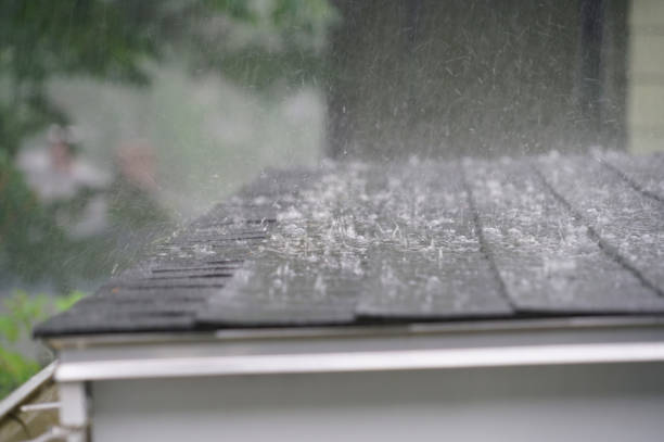Best Solar Panel Roofing Installation  in Evergreen Park, IL